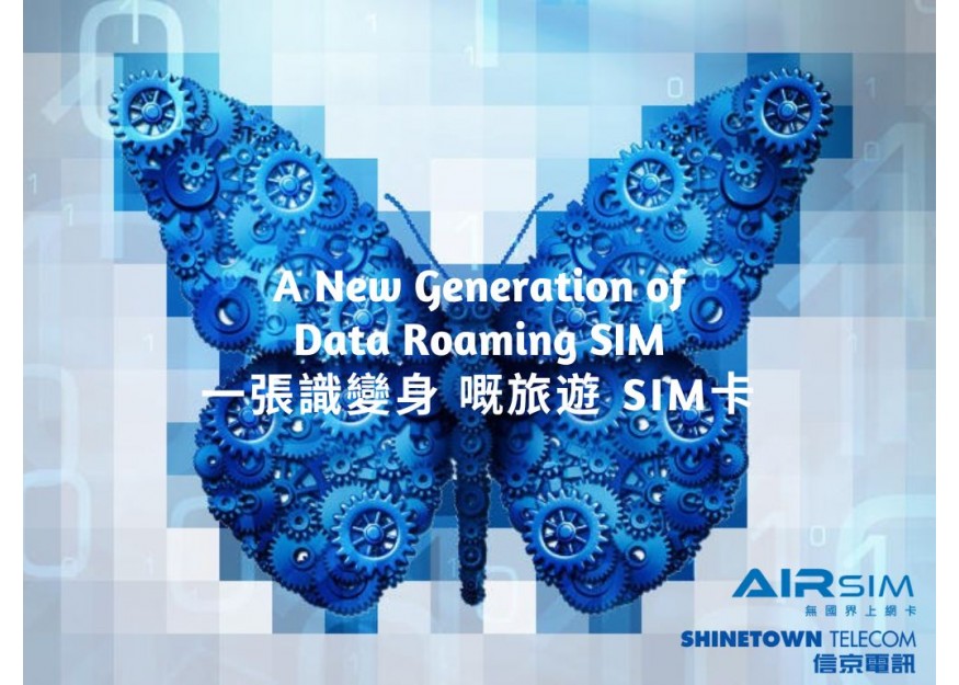 AIRSIM  企業方案